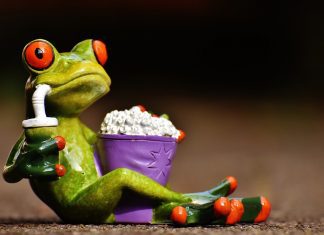 Frog eating popcorn