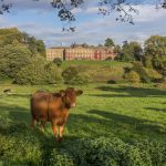 Beautiful shot of Erddig takes final slot in the Wonders of Wrexham 2018 Calendar Competition