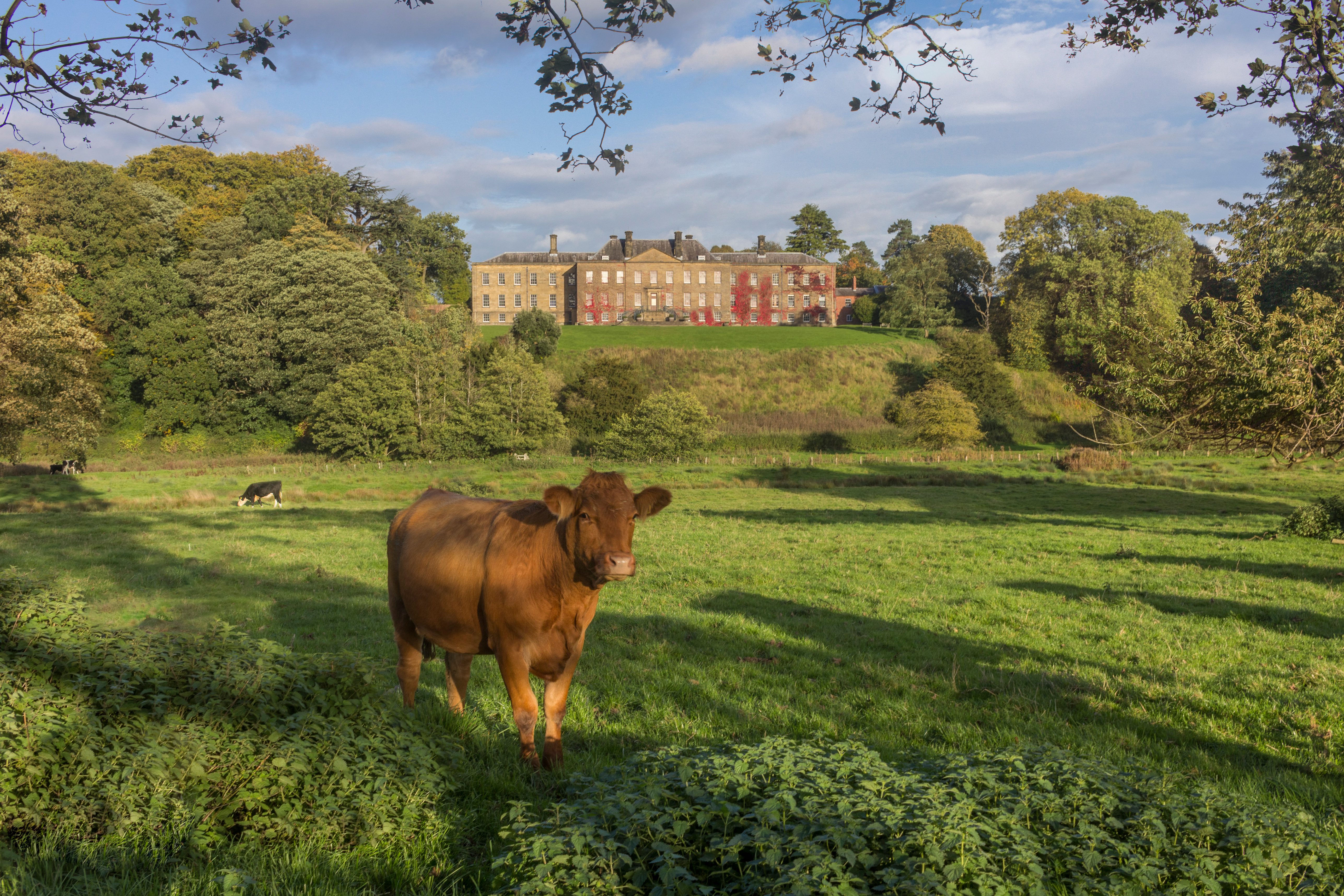 Beautiful shot of Erddig takes final slot in the Wonders of Wrexham 2018 Calendar Competition