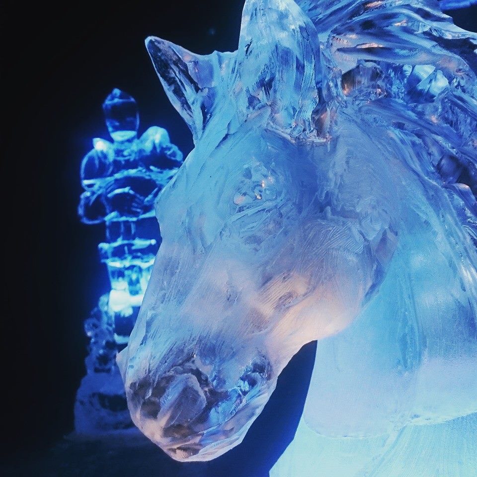 Chill out with Ice Carving at Wrexham Museum