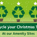 It’s time to take down your Christmas tree – But where can you recycle it?