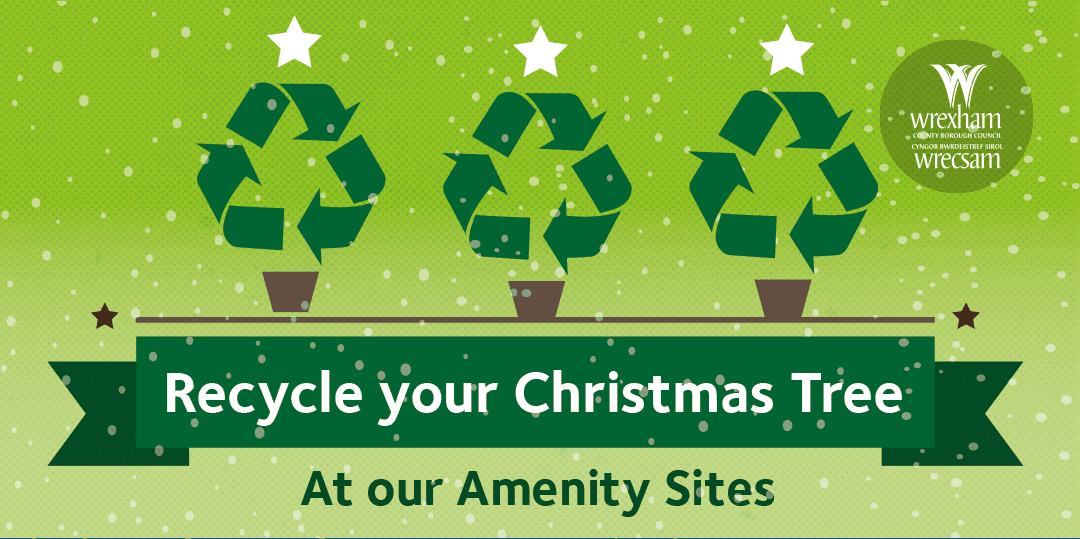 It’s time to take down your Christmas tree – But where can you recycle it?