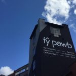 Tŷ Pawb has its official opening