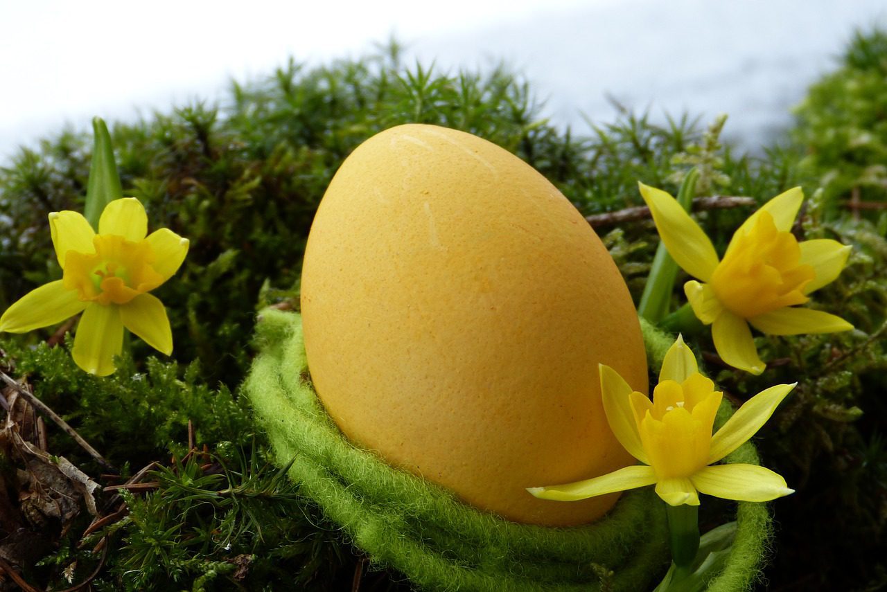 Big Easter Egg Hunt Starts Tomorrow (18.04.19)