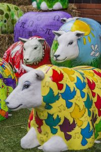 “Ewe Better Look Out!” – New spring arrivals means the Wrexham Sheep Trail flock has grown