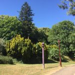 Wrexham Council Bellevue Park