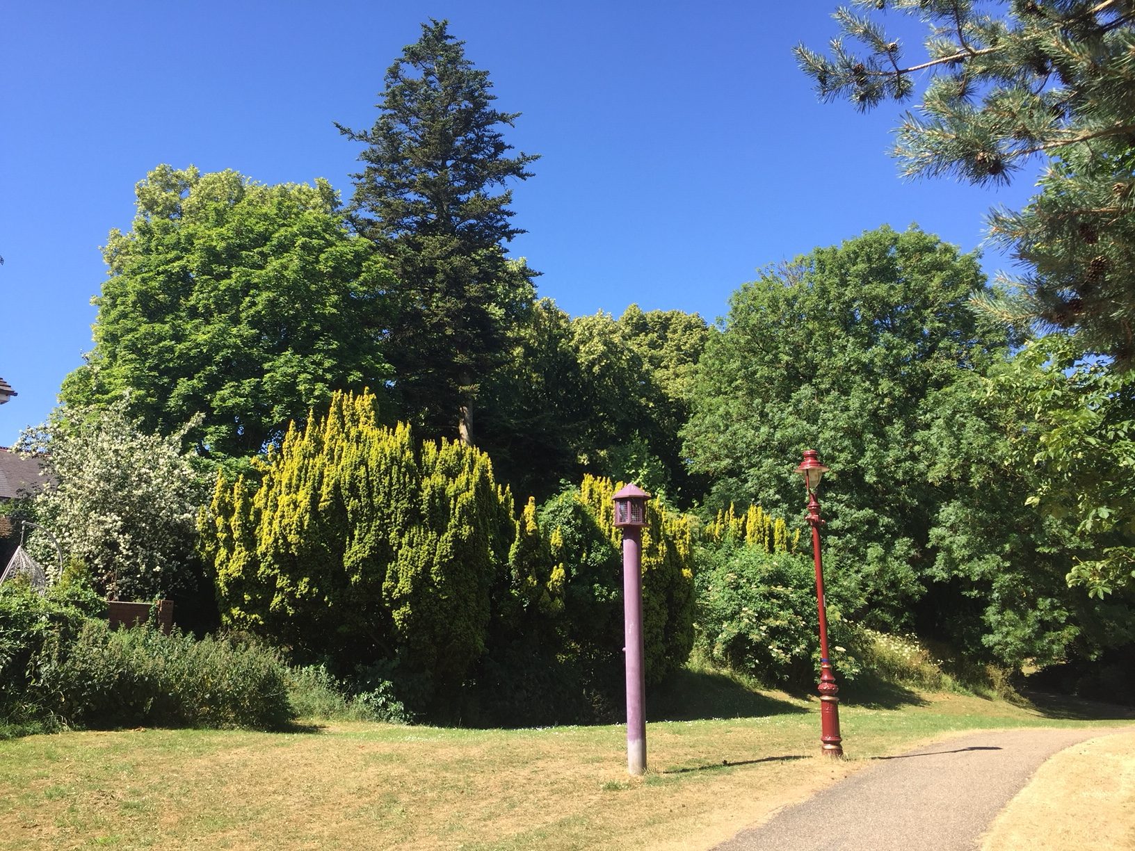 Wrexham Council Bellevue Park