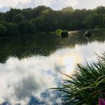 Acton Park lake closed to fishing