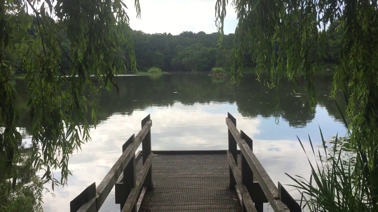 Have you forgotten how beautiful Acton Park is? Here’s a quick reminder…