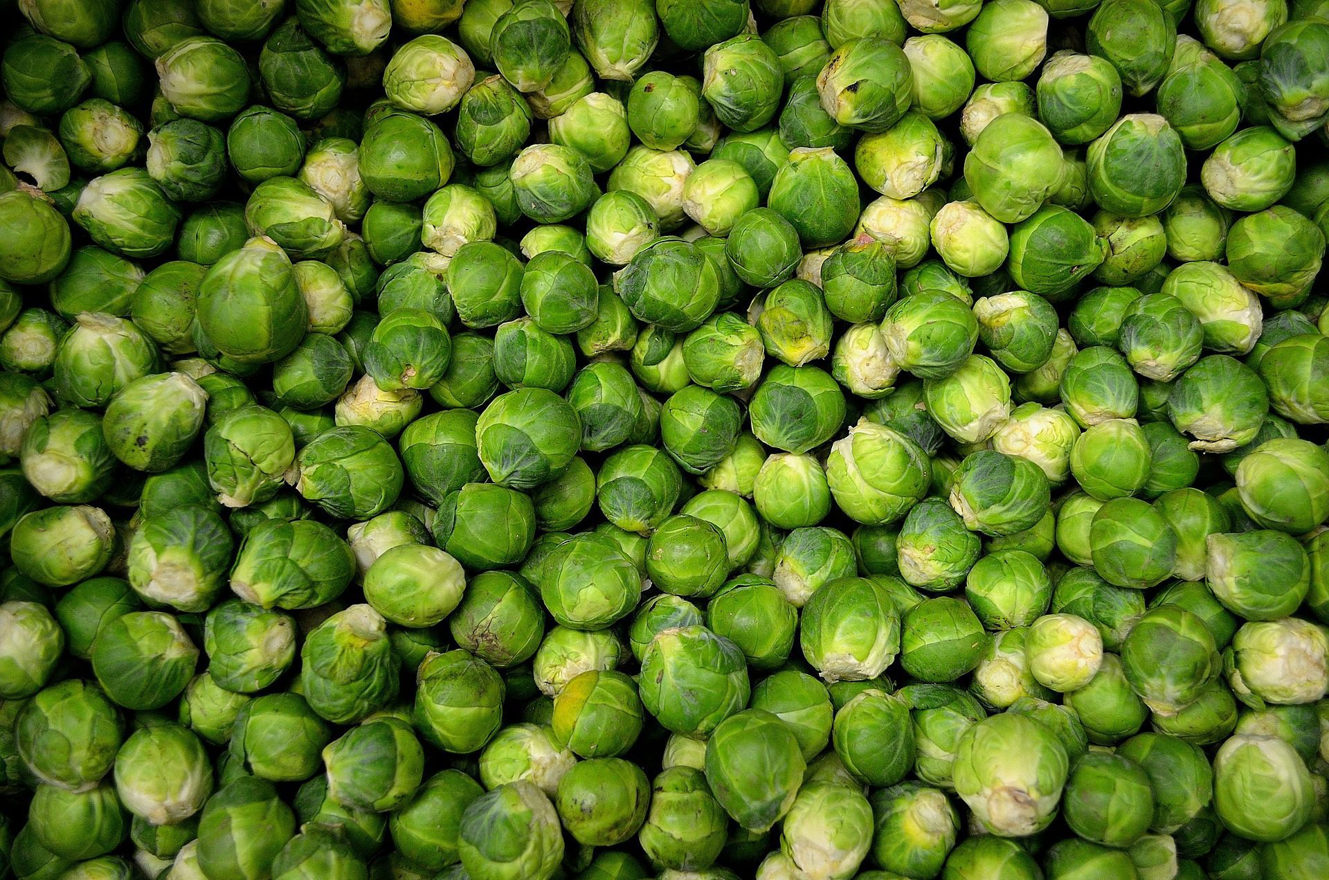 A few soggy sprouts leftover this Christmas? Your food caddy will love them!
