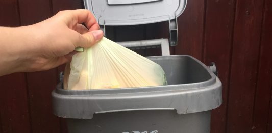 Food Waste Recycling Caddy