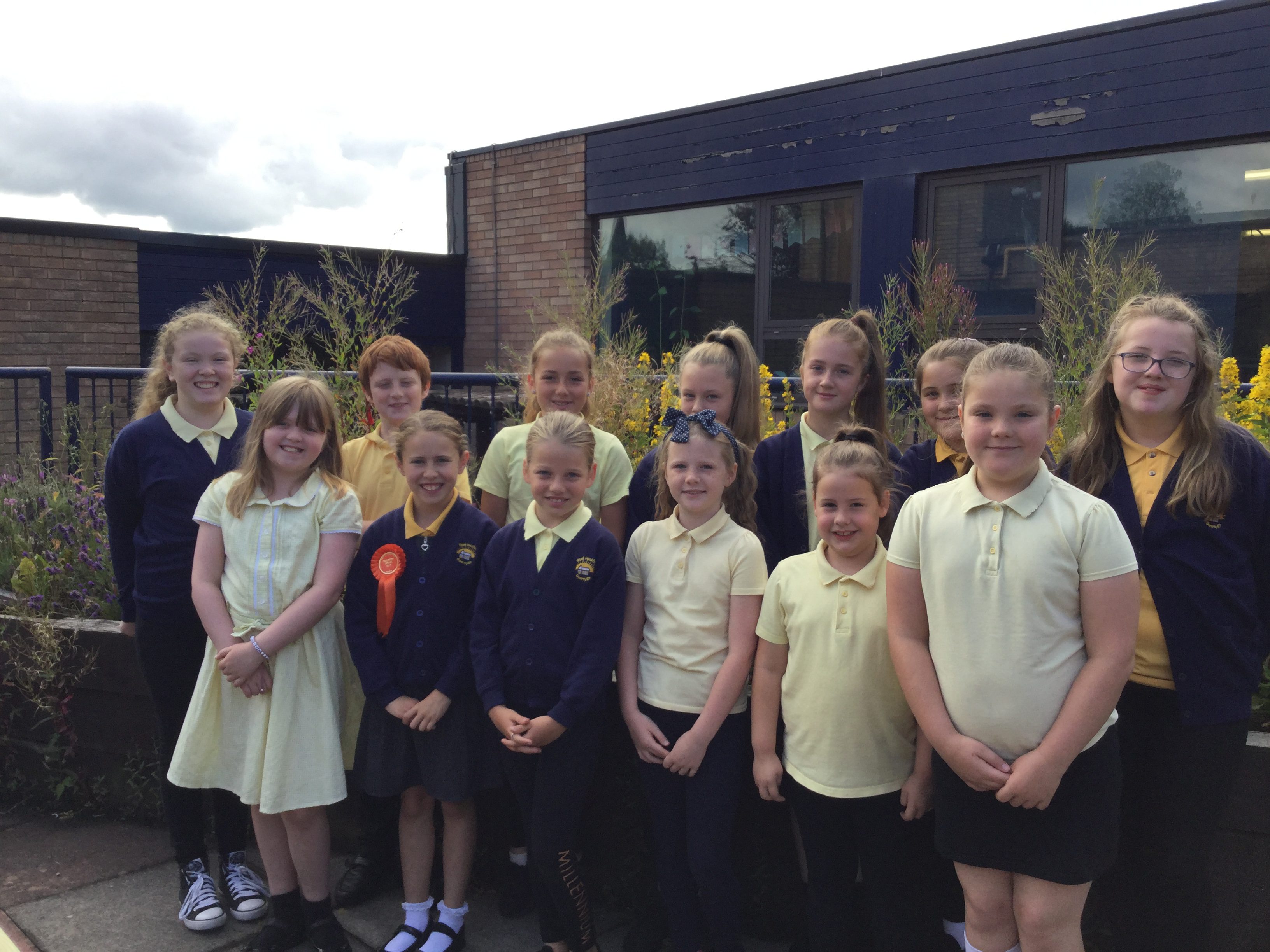 Pupils win award for their hard work for the Welsh language
