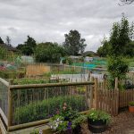 Take a look at Erddig Allotments