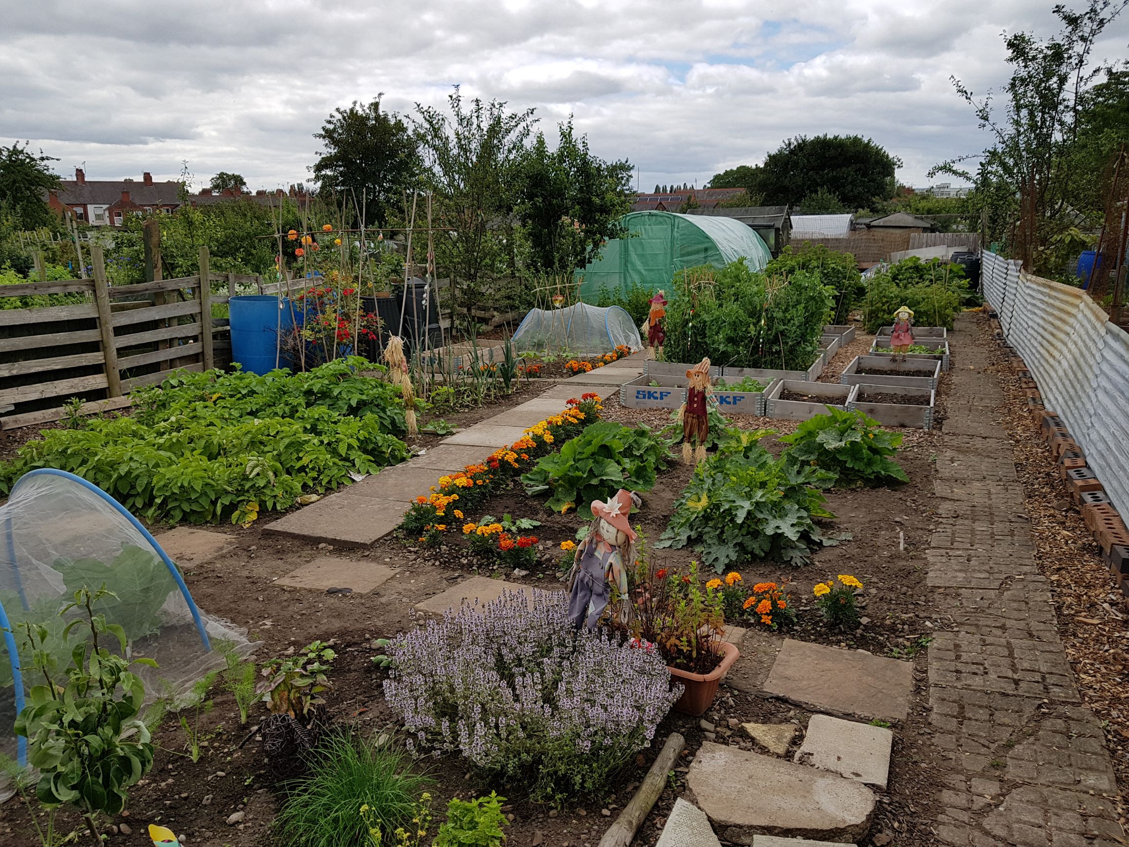 Take a look at Erddig Allotments