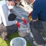 VIDEO: Trainees get to grips with lime mortar