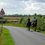 Hold your horses! How to pass horses safely on the road