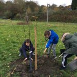 Gwenfro pupils plant an orchard!