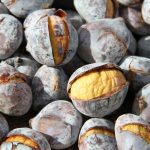 Chestnuts Food Waste Recycling