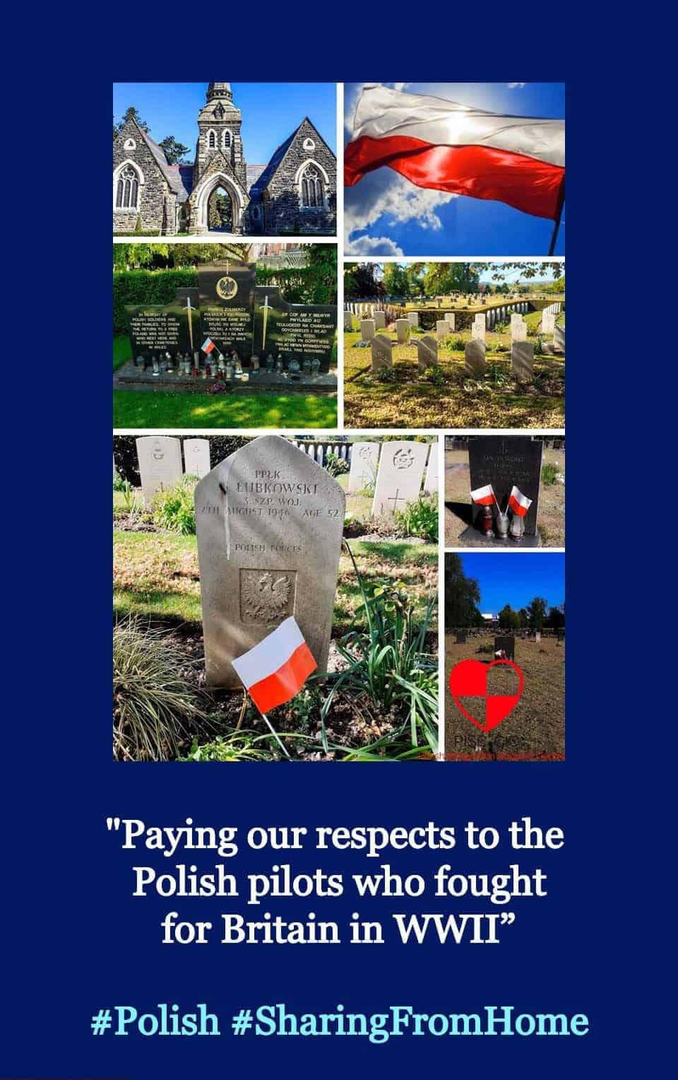 The Sharing From Home online exhibition launches today!