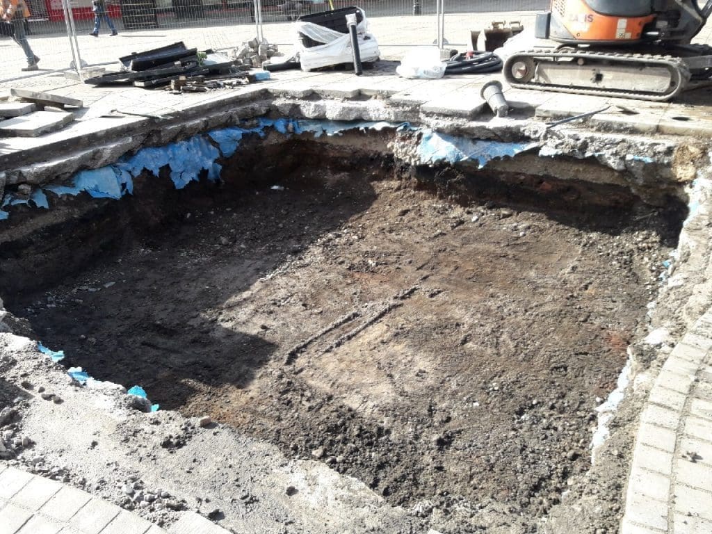 Memorial Tree planted in Queen's Square