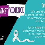 Voice Against Violence