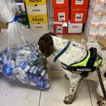 Billy the dog sniffs out a quarter of a million illegal cigarettes.