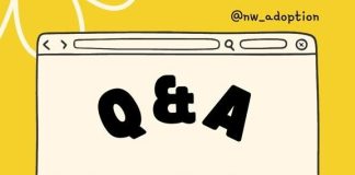 North Wales Adoption Service Q&A sessions