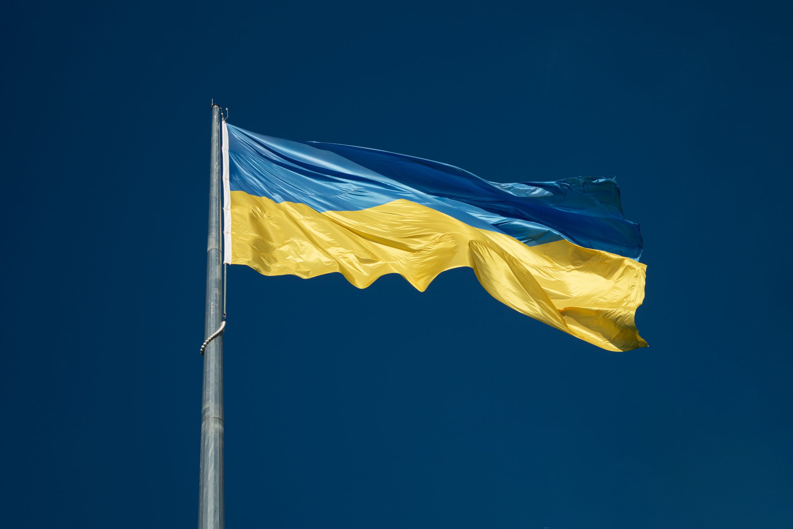 We continue to stand with Ukraine on this first anniversary of the invasion