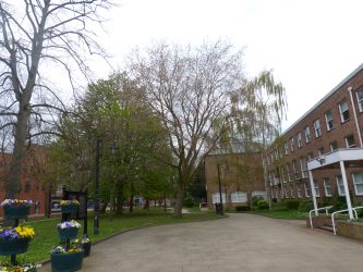 Tree Cities of the World