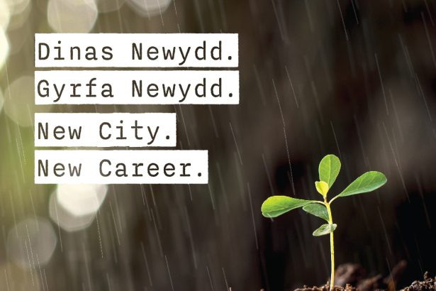 New city - new career. Work for Wrexham Council
