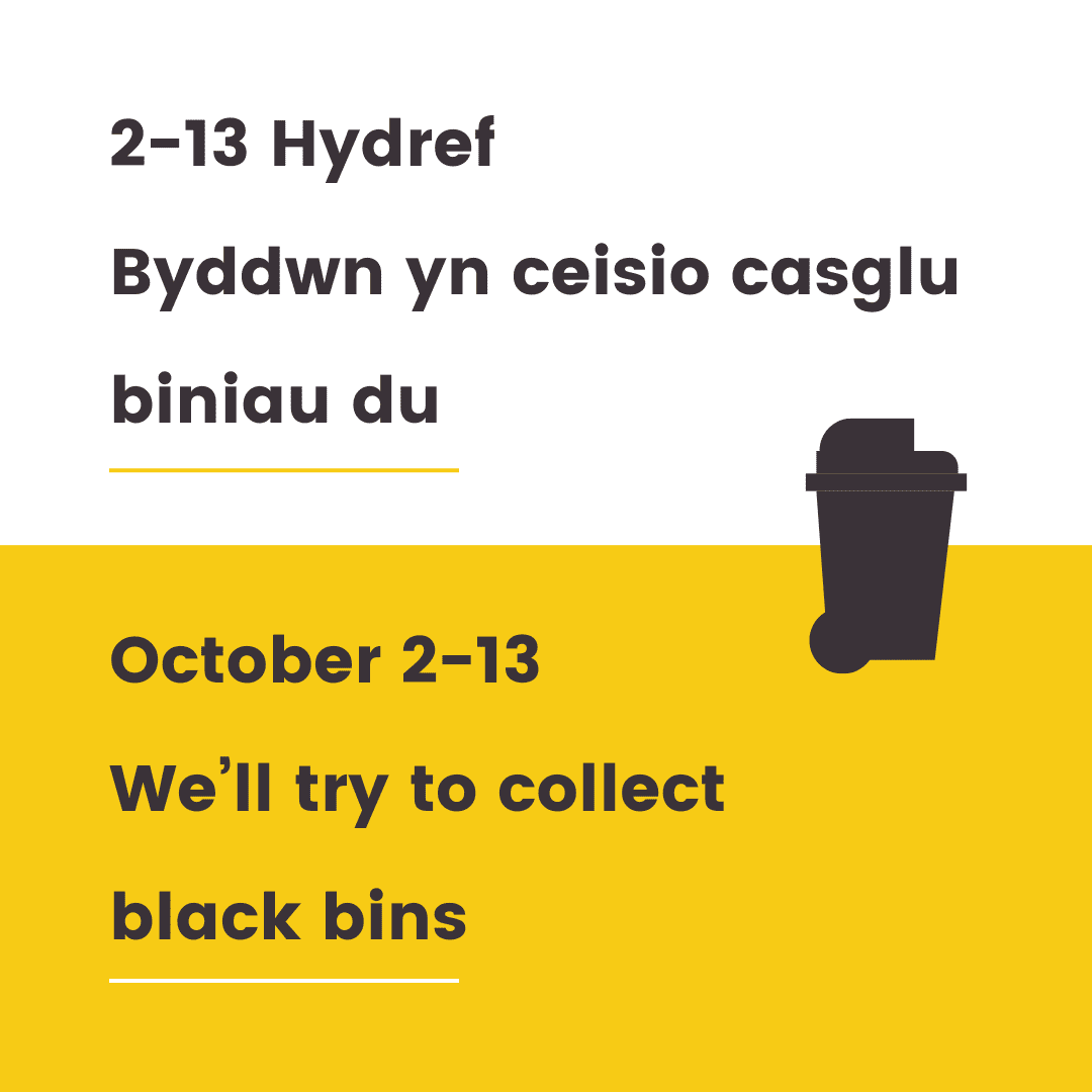 Planned bin collections for the next two weeks (starting from October 2