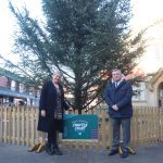 A big "Thank You" to Chapter Court for this year's Christmas Tree