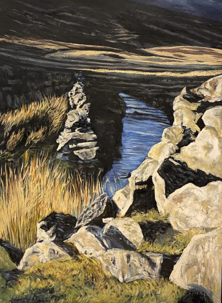 Stunning Welsh landscapes celebrated in new Tŷ Pawb exhibitions