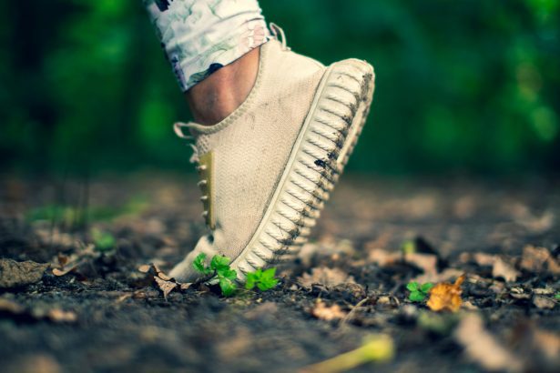 White running shoe on muddy ground