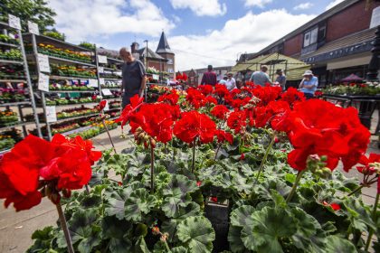 Free trading at Wrexham’s Monday Market until 29th December!