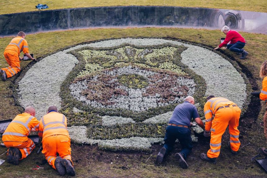 Football fans and pollinators will get a kick out of Wrexhams latest 'massive' artwork!