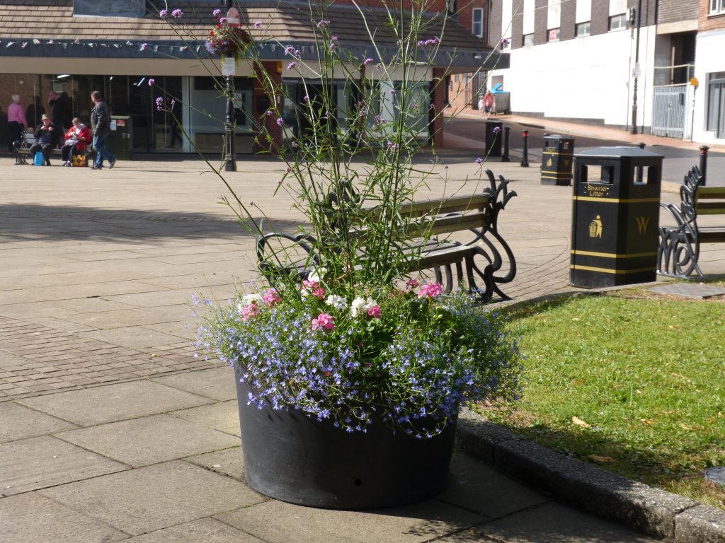 Welcome to Wrexham Britain in Bloom Judges!