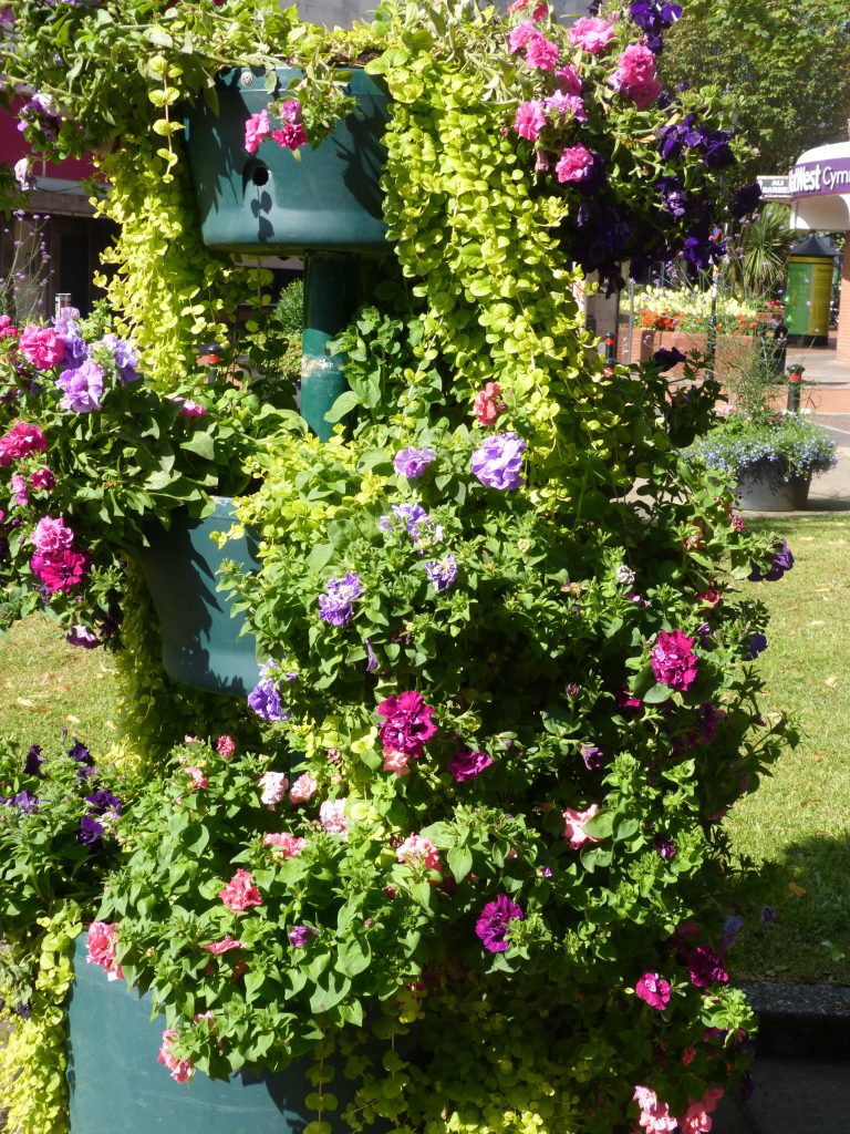 Welcome to Wrexham Britain in Bloom Judges!