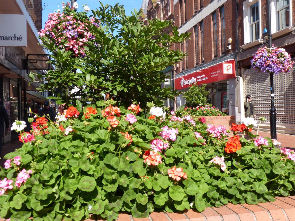 Welcome to Wrexham Britain in Bloom Judges!