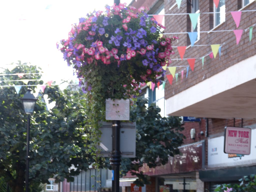 Welcome to Wrexham Britain in Bloom Judges!