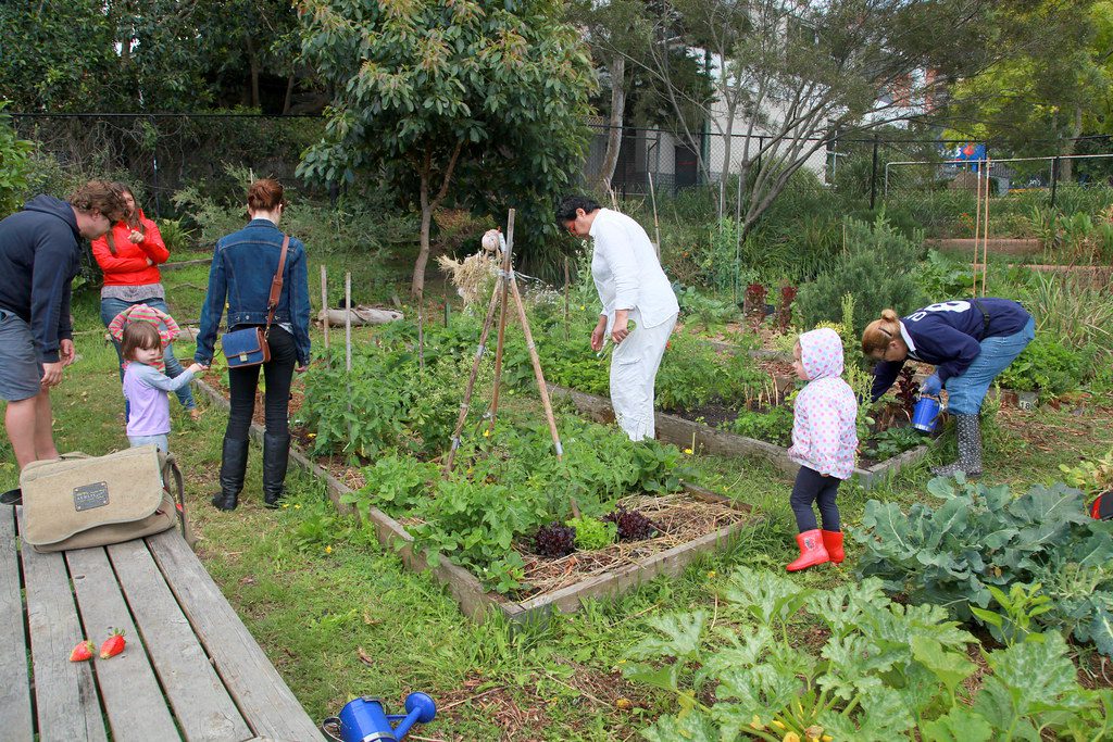 Rhos community garden needs your support