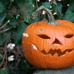 Pumpkin with a face carved into it sitting on a rock in front of leaves