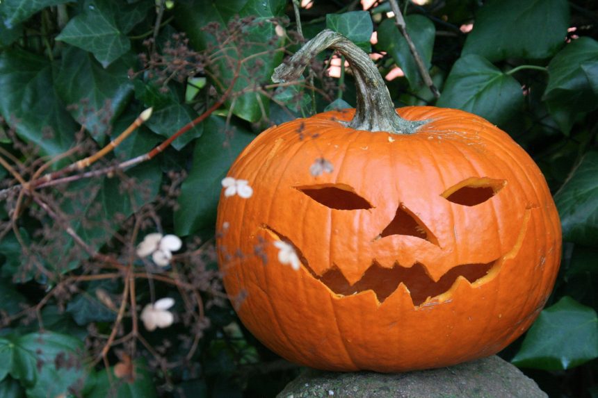 Pumpkin with a face carved into it sitting on a rock in front of leaves