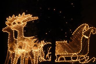 Christmas lights (two reindeer pulling a sleigh)