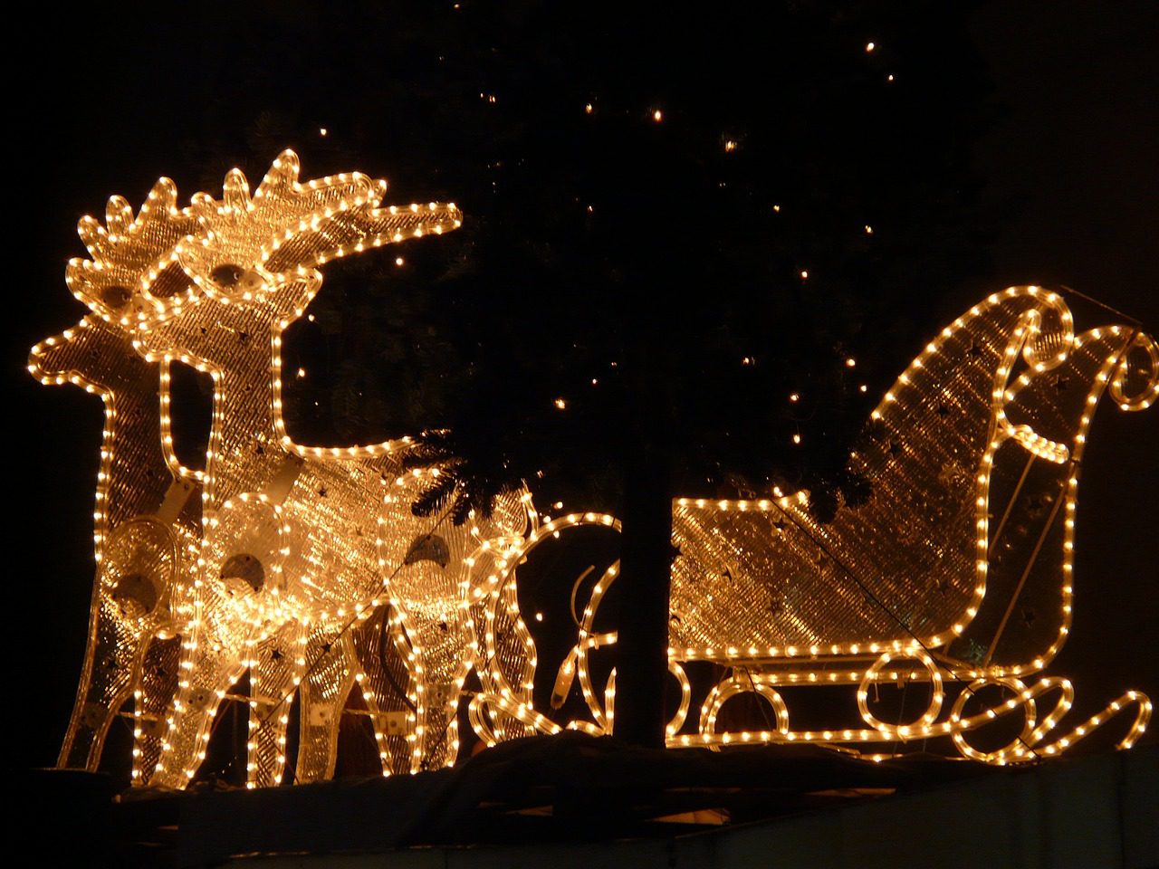 Christmas lights (two reindeer pulling a sleigh)