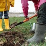 Person shovelling soil whilst planting a tree, while another person stands nearby