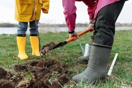 Person shovelling soil whilst planting a tree, while another person stands nearby