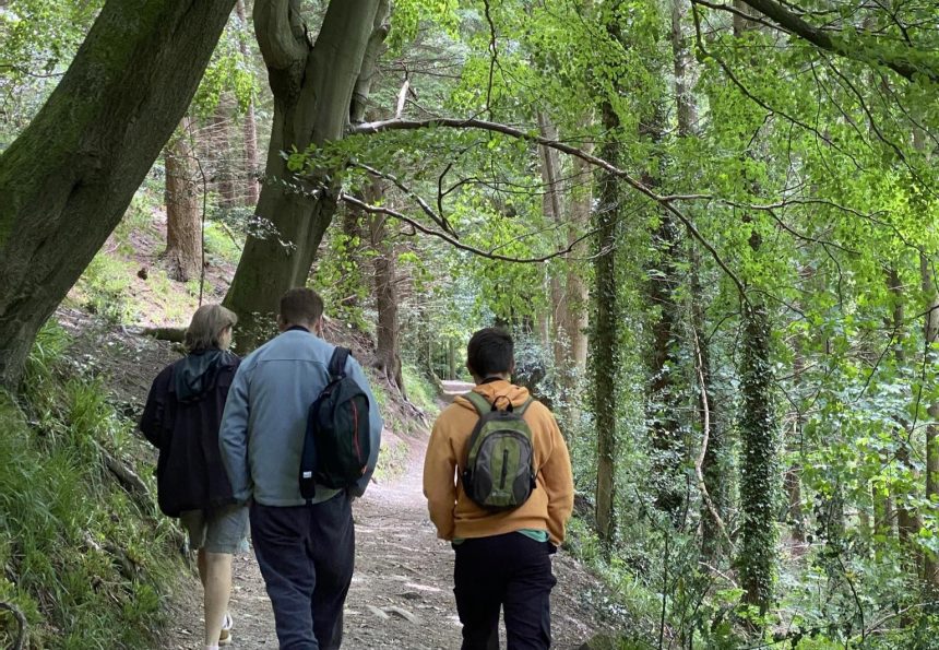 Groundwork North Wales Seeking Community Input on Plans for Clywedog Valley Heritage Restoration