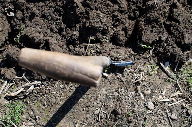 Spade dug into soil (view of spade handle from above)