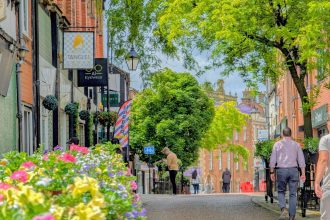 Wrexham awarded ‘2024 Tree City of the World’